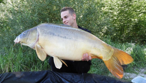 A carp from Brie, Aug 2017