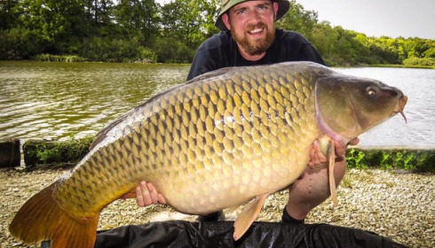A 51 lb carp from Brie, Gareth Evans, Sep 2016