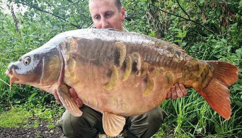 A carp from Brie, Aug 2023