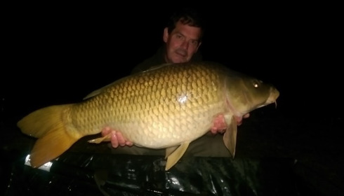 A 29 lb 2 oz carp from Brie, Oct 2015