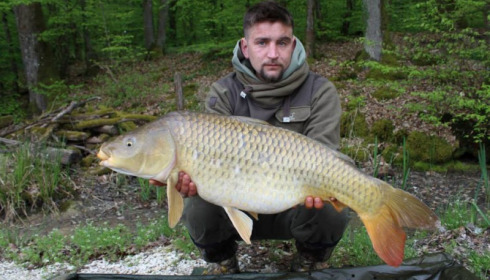 A carp from Brie, Apr 2014