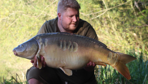 A carp from Brie, Sep 2021