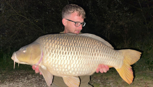 A carp from Brie, Sep 2021