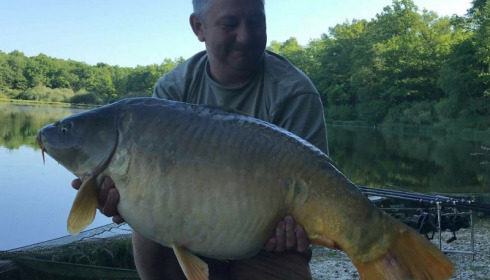 A carp from Brie, May 2018