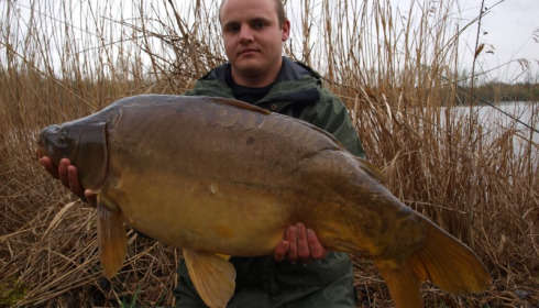 A carp from Brocard Large, Mar 2013