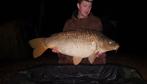 A carp from Brocard Large, May 2018