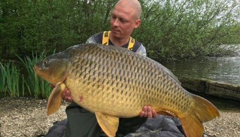 A carp from Brocard Large, Apr 2018