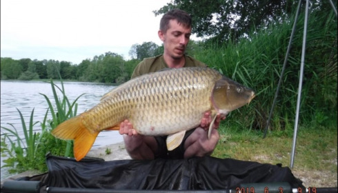 A carp from Brocard Large, Jun 2019
