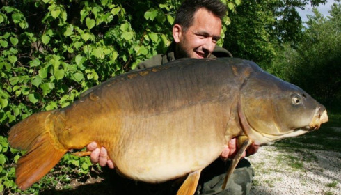 A carp from Brocard Large, Swim 9, May 2015