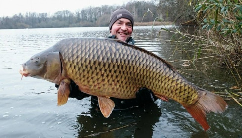 A carp from Brocard Large, 2014 Netting / Stock Check, Dec 2014