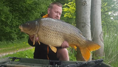 A carp from Brocard Large, May 2018