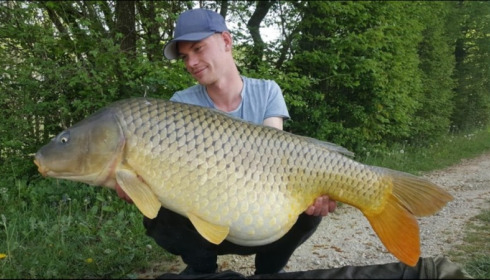 A carp from Brocard Large, Apr 2019