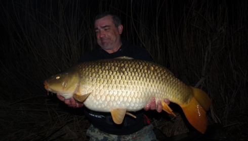 A carp from Brocard Large, Mar 2013