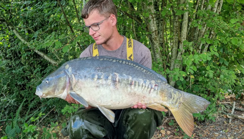 A carp from Brocard Large, Jul 2022