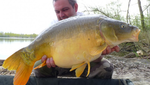 A carp from Brocard Large, Apr 2013