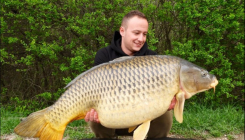 A carp from Brocard Large, Apr 2019