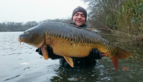 A carp from Brocard Large, 2014 Netting / Stock Check, Dec 2014