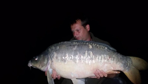 A carp from Brocard Large, Oct 2014