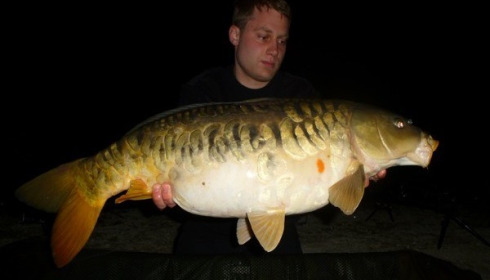 A carp from Brocard Large, Swim 8, Apr 2015