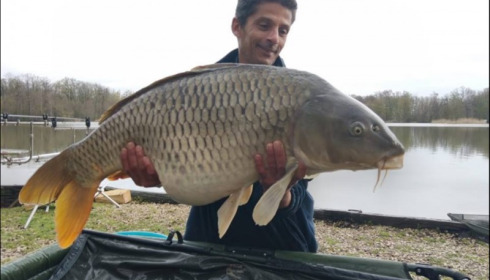 A 46 lb carp from Brocard Large, Apr 2019
