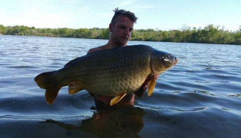 A carp from Brocard Large, Swim 5, May 2016