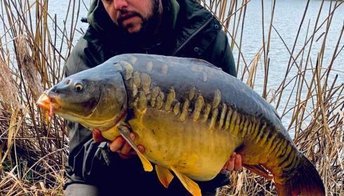 A fish from Brocard Large, Mar 2022