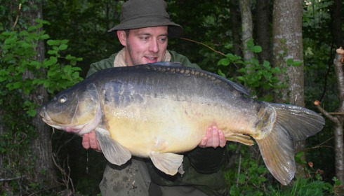 A carp from Brocard Large, May 2018