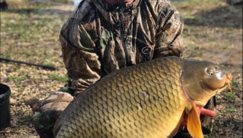 A 46 lb 8 oz carp from Brocard Large, David Gates, Mar 2019