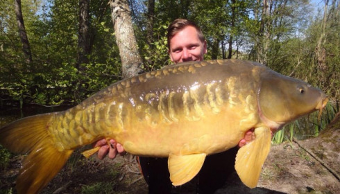 A carp from Brocard Large, May 2014