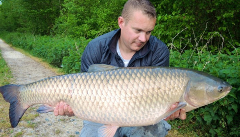 A grass carp from Brocard Large, Swim 5, Apr 2014