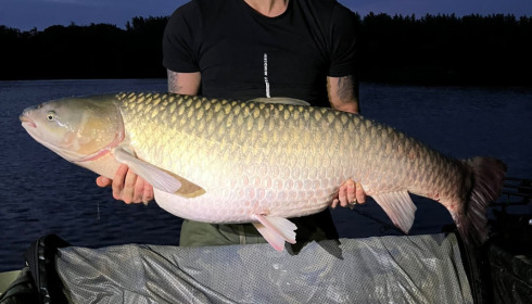 A grass carp from Brocard Large, Jun 2022