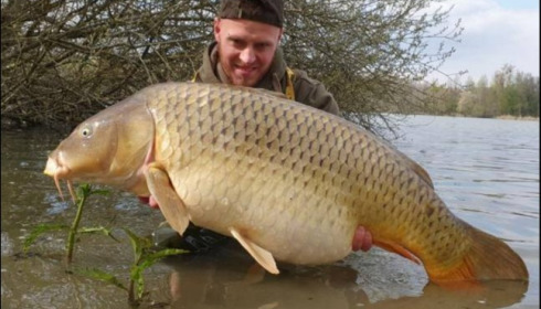 A carp from Brocard Large, Apr 2019