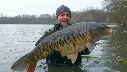 A carp from Brocard Large, 2014 Netting / Stock Check, Dec 2014