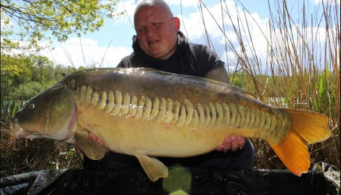 A carp from Brocard Large, Apr 2019