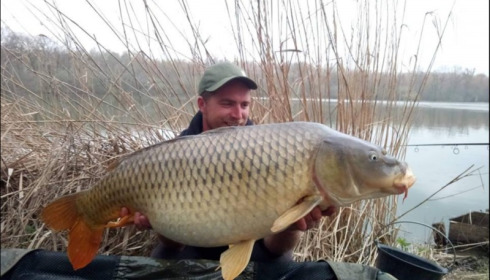 A carp from Brocard Large, Apr 2019