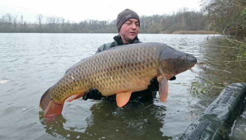 A carp from Brocard Large, 2014 Netting / Stock Check, Dec 2014