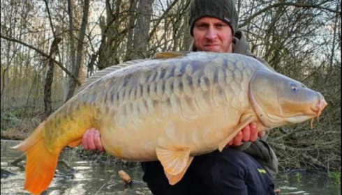 A carp from Brocard Large, Apr 2019