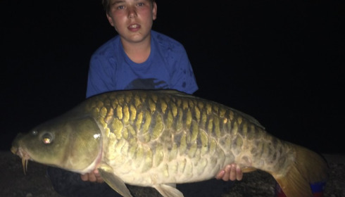 A carp from Brocard Large, Swim 8, Aug 2015