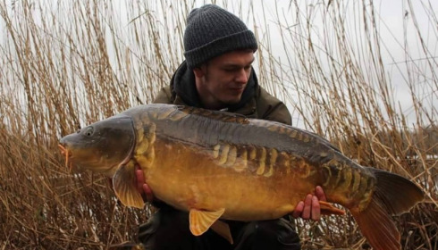 A carp from Brocard Large, Mar 2016