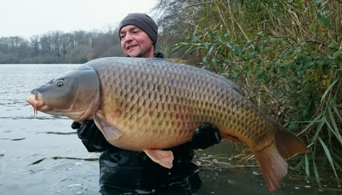A carp from Brocard Large, 2014 Netting / Stock Check, Dec 2014