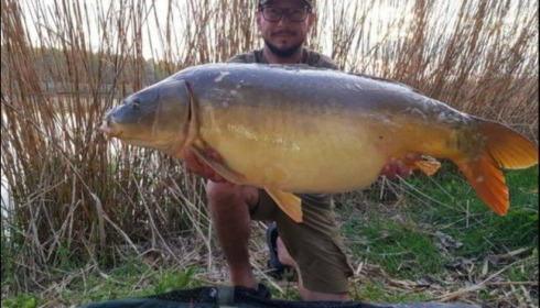 A carp from Brocard Large, Apr 2019