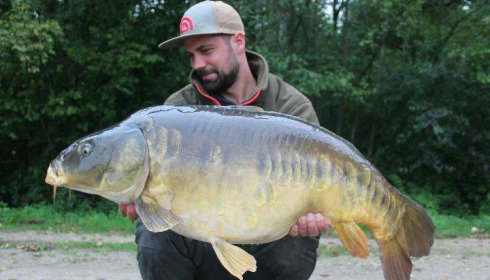 A carp from Brocard Large, Swim 5, Oct 2017