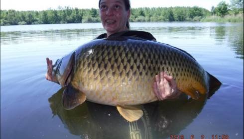 A carp from Brocard Large, Jul 2019