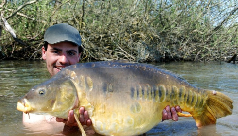 A 36 lb 9 oz carp from Brocard Large, Swim 10, Apr 2015