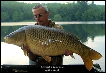 A 44 lb 4 oz carp from Brocard Large, Steven Alden-Smith, Jun 2014
