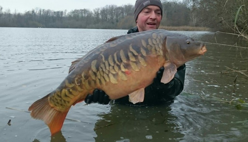 A carp from Brocard Large, 2014 Netting / Stock Check, Dec 2014