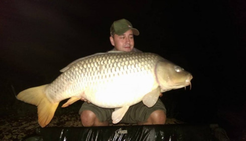 A carp from Brocard Large, Oct 2013