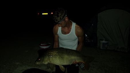 A carp from Brocard Large, Swim 6, Jul 2014
