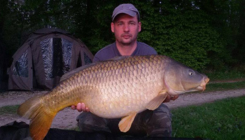 A carp from Brocard Large, Swim 7, Apr 2016