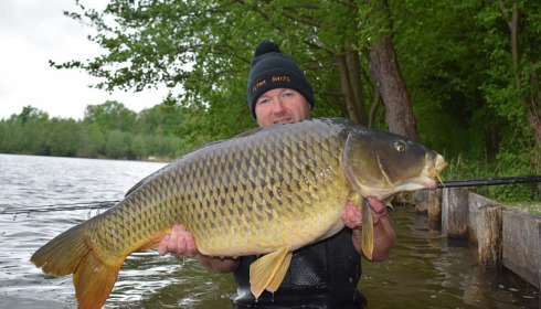 A carp from Brocard Large, May 2018